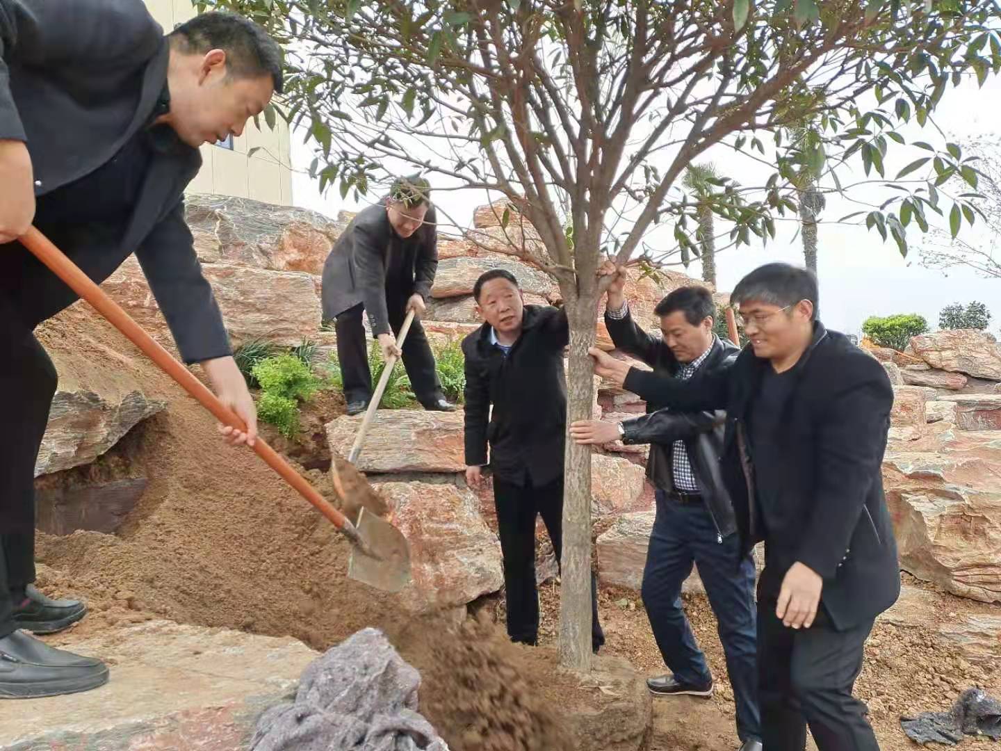 到新校区开展义务植树活动  配图.jpg